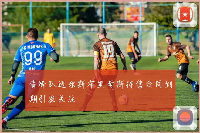 黄蜂队迈尔斯布里奇斯待售合同到期引发关注