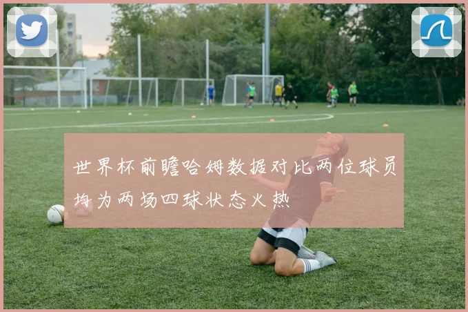 世界杯前瞻哈姆数据对比两位球员均为两场四球状态火热