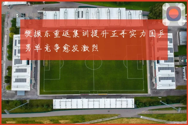 樊振东重返集训提升正手实力国乒男单竞争愈发激烈